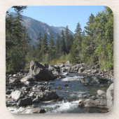 Bergrivierkreeft Bier Onderzetter (Voorkant)