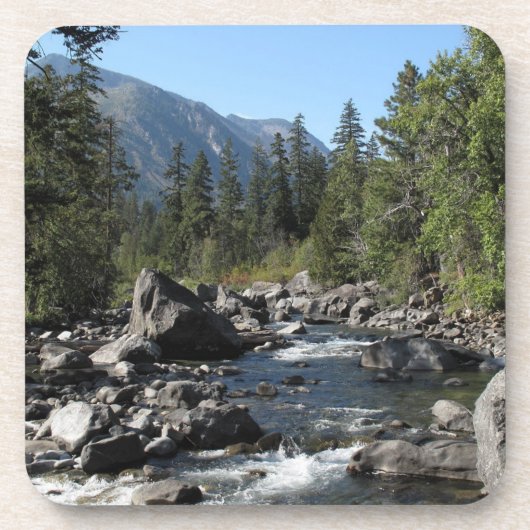 Bergrivierkreeft Bier Onderzetter (Voorkant)