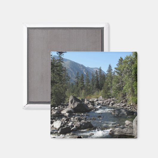 Bergrivierkreeft Magneet (Voorkant / Achterkant)