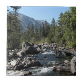 Bergrivierkreeft Tegeltje (Voorkant)