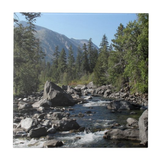 Bergrivierkreeft Tegeltje (Voorkant)