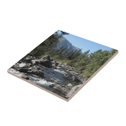 Bergrivierkreeft Tegeltje (Zijkant)