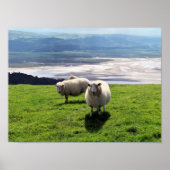 BERGSCHAAP POSTER (Voorkant)