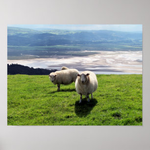 BERGSCHAAP POSTER
