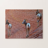 Bergschaap Utah. Legpuzzel (Horizontaal)