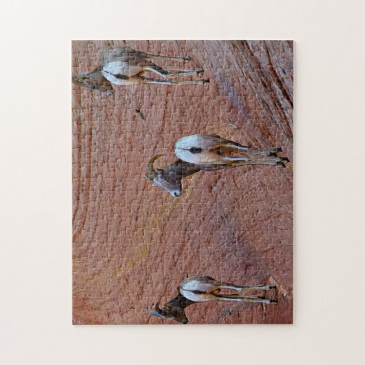 Bergschaap Utah. Legpuzzel (Verticaal)