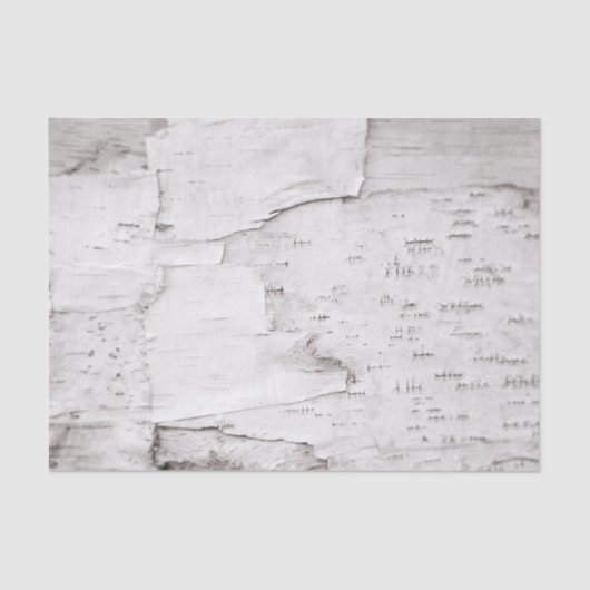 Bergschors Witte Rustige Land Woodland Tissuepapier (Voorkant)