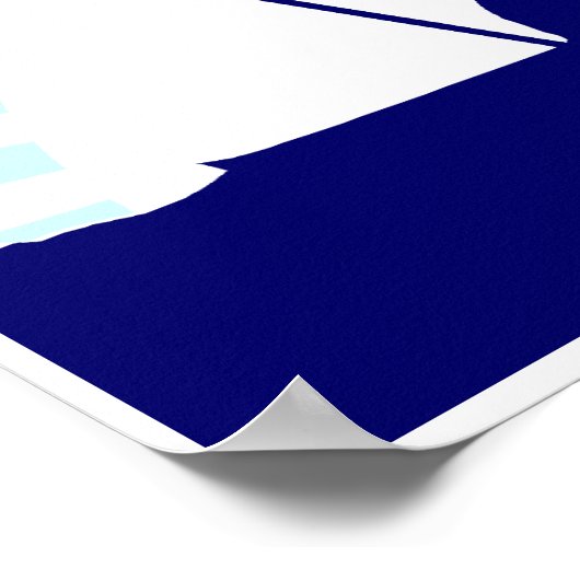 bergskiester poster (Hoek)