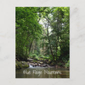 Bergstroom Blue Ridge Mountains NC Briefkaart (Voorkant)
