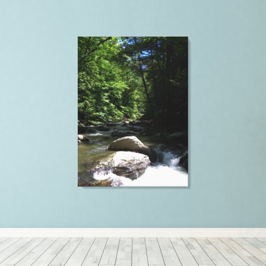 Bergstroom Canvas Afdruk (Insitu (Houten vloer))