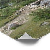 Bergstroom Poster (Hoek)