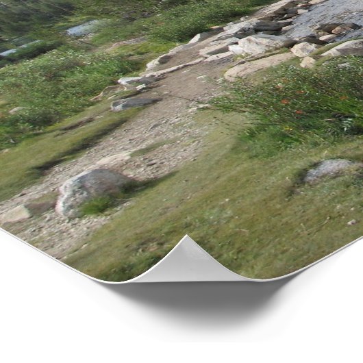 Bergstroom Poster (Hoek)