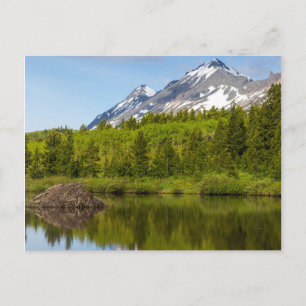 Bergtoppen weerspiegelen in een bevervijver briefkaart