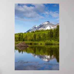 Bergtoppen weerspiegelen in een bevervijver poster