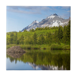 Bergtoppen weerspiegelen in een bevervijver tegeltje