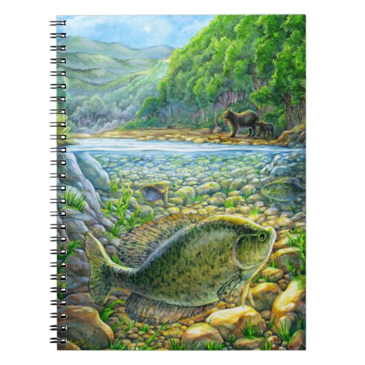 Bergvis Notitieboek (Voorkant)