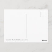 Bergvogel Briefkaart (Achterkant)