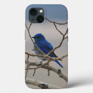 Bergvogel iPhone 13 Hoesje
