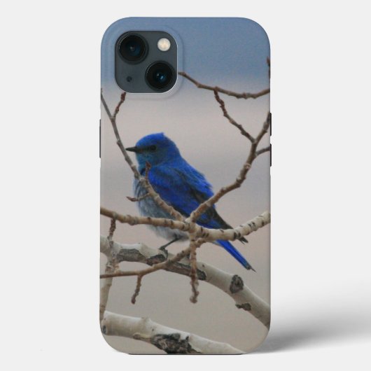 Bergvogel Case-Mate iPhone Case (Achterkant)