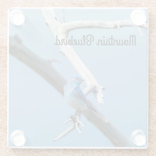 Bergvogel Glazen Onderzetter (Achterkant)