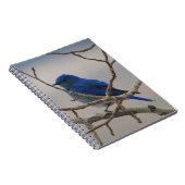 Bergvogel Notitieboek (Rechterzijde)
