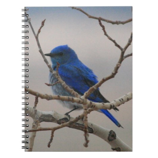 Bergvogel Notitieboek (Voorkant)