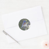 Bergvogel Ronde Sticker (Envelop)