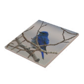 Bergvogel Tegeltje (Zijkant)