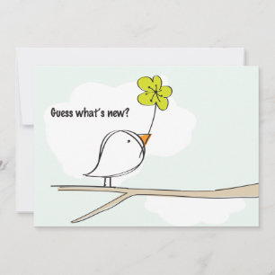 Bergvogels Foto Zwangerschap Aankondiging