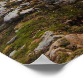 Bergwandelaar Poster (Hoek)