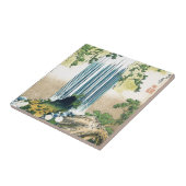 Bergwaterval boven de schuur tegeltje (Zijkant)