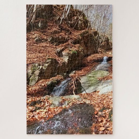 Bergwaterval - Wilde Natuur Roemenië Legpuzzel (Verticaal)