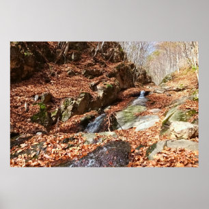 Bergwaterval - Wilde Natuur Roemenië Poster