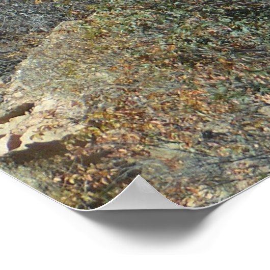 Bergweg Landschap Foto Natuur Wall Poster (Hoek)