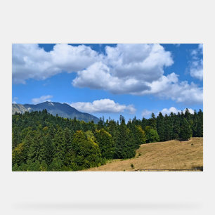 Bergweide Landschap - Wilde Natuur Roemenië Acryl Bord