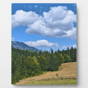 Bergweide Landschap - Wilde Natuur Roemenië Fotoplaat
