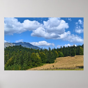 Bergweide Landschap - Wilde Natuur Roemenië Poster