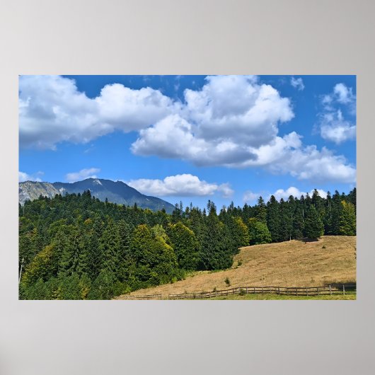 Bergweide Landschap - Wilde Natuur Roemenië Poster (Voorkant)
