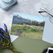 Bergweide Wildbloemen Birthday Kaart