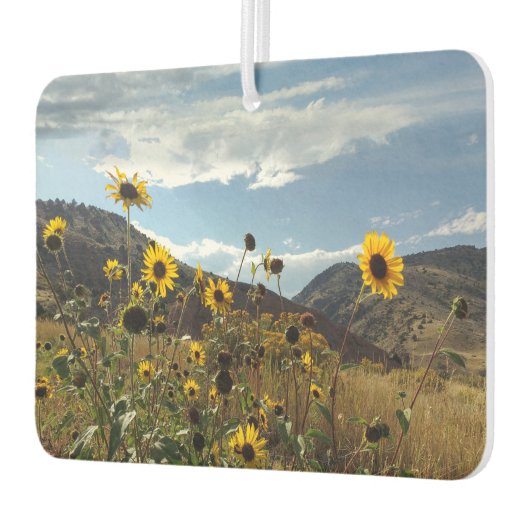 Bergzondbloemen mooie buitenfoto luchtverfrisser (Links)