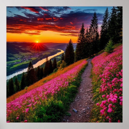 Bergzonsondergang met wilde bloemen poster (Voorkant)