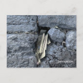 Bericht Briefkaart (Voorkant)