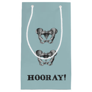 Bericht Hoorkaatanatomie Hip Hooray Klein Cadeauzakje