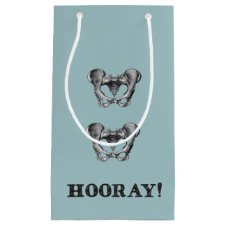 Bericht Hoorkaatanatomie Hip Hooray Klein Cadeauzakje