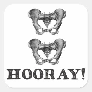 Bericht Hoorkaatanatomie Hip Hooray Vierkante Sticker