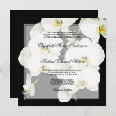 Berichten over een donkere en witte orchidee kaart (Voorkant / Achterkant)