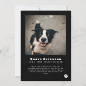 Berichten over foto's met witte afdruk Pet verlies Aankondiging (Voorkant)