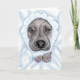 Berichten over geweldige Dane Baby Black Boy Aankondiging