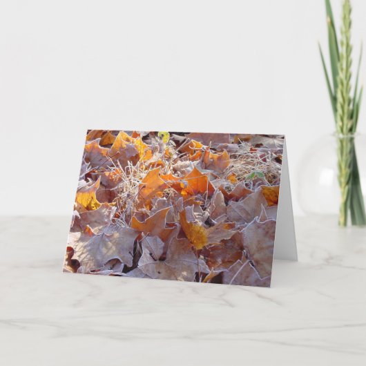 Berijpt de vakantiewenskaart van Bladeren Feestdagen Kaart (Voorkant)