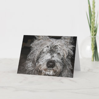 Berijpte Steenhoop Feestdagen Kaart